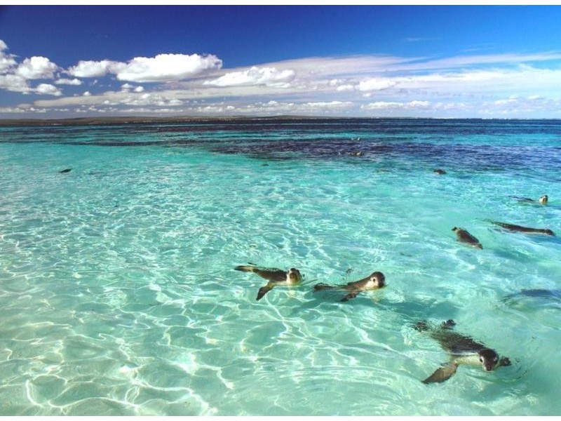 7 Parakeet Bend, Jurien Bay WA 6516