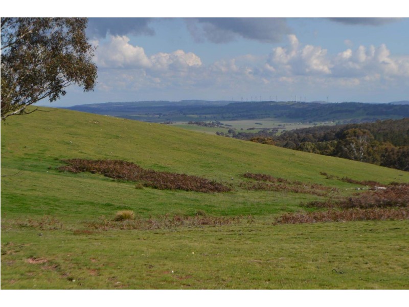 2475 Gurrundah Rd, Gurrundah NSW 2581