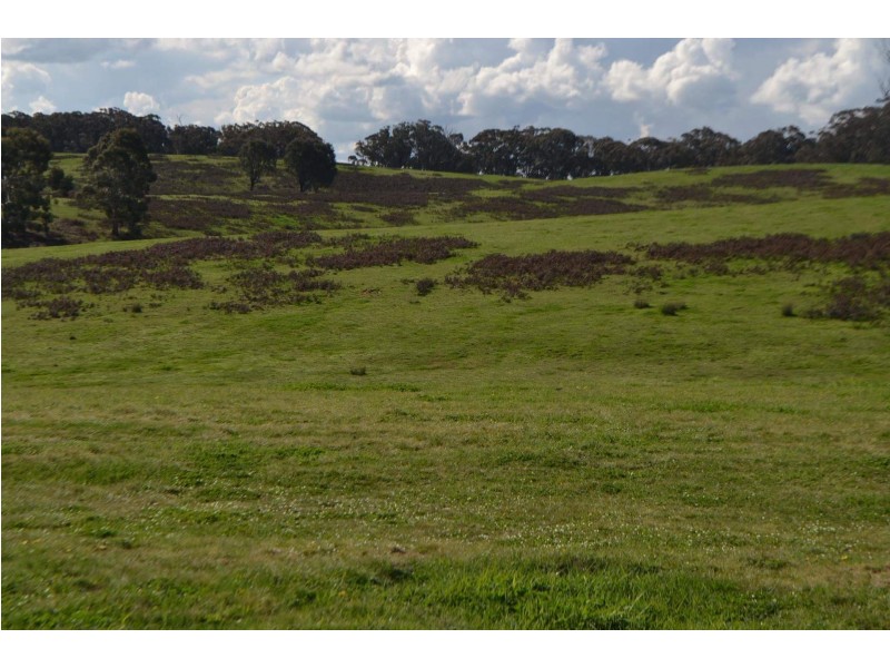 2475 Gurrundah Rd, Gurrundah NSW 2581