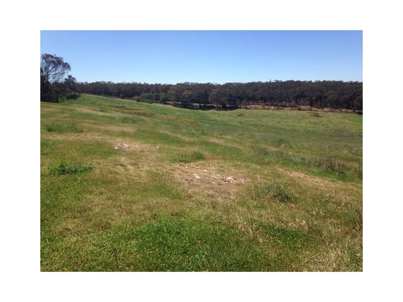 2475 Gurrundah Rd, Gurrundah NSW 2581