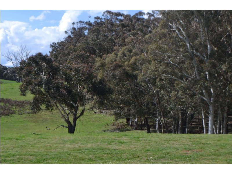 2475 Gurrundah Rd, Gurrundah NSW 2581