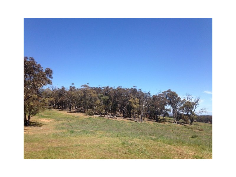 2475 Gurrundah Rd, Gurrundah NSW 2581