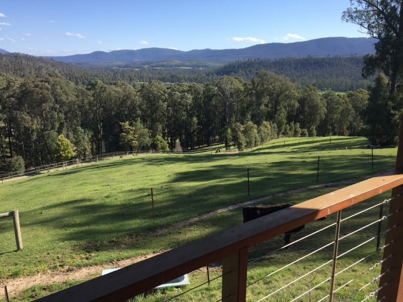 1580 Maroondah Highway, Buxton VIC 3711