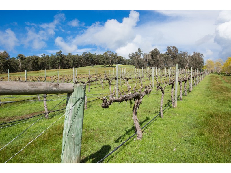 518 Jayes Road, Balingup WA 6253