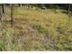 111 North Deep Creek Road, North Deep Creek QLD 4570