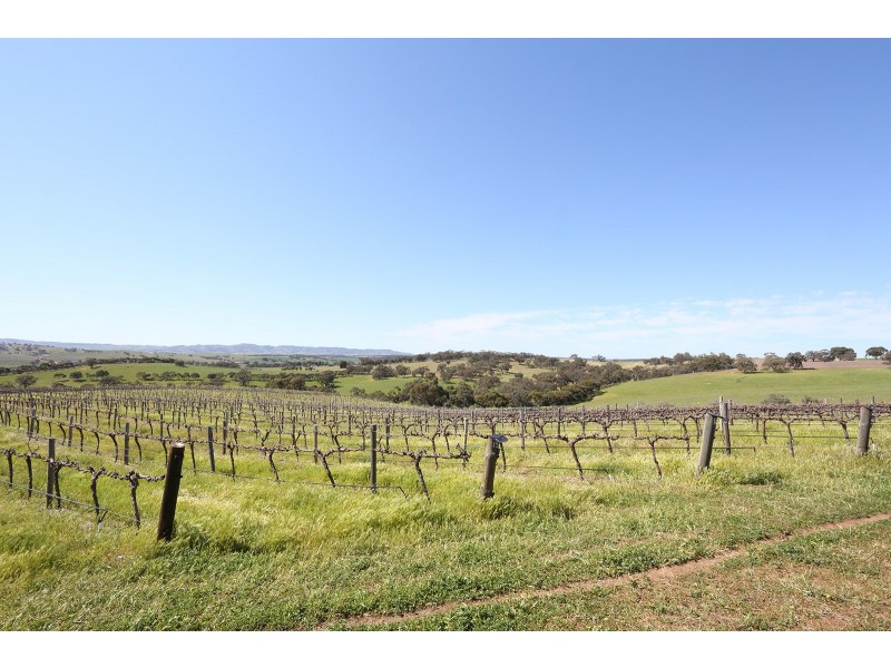 78 William Hawke Road, Concordia SA 5118