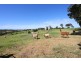 78 William Hawke Road, Concordia SA 5118