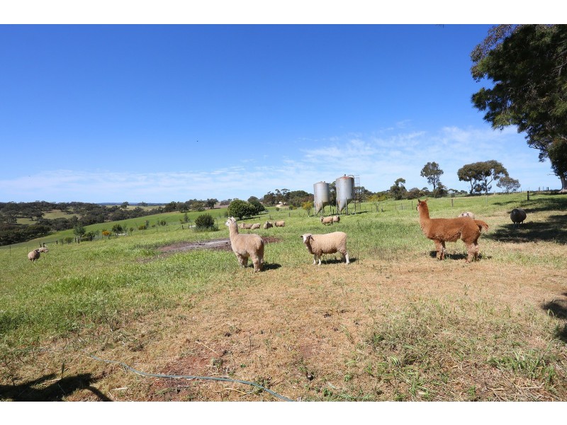 78 William Hawke Road, Concordia SA 5118