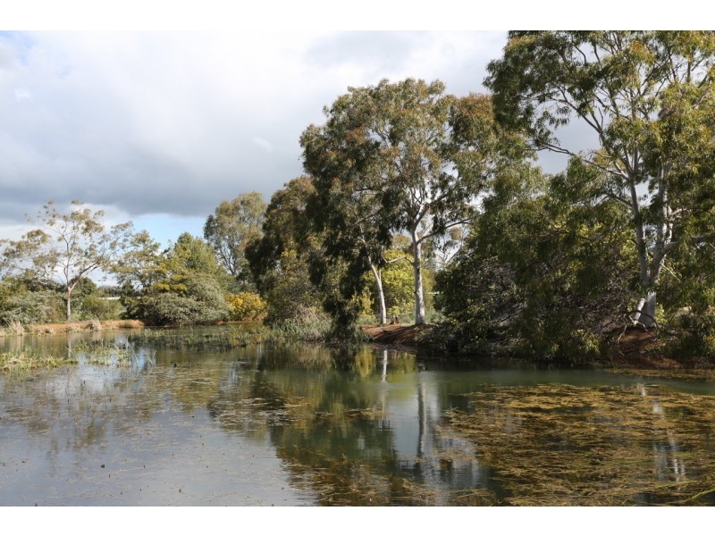 Lot 121 Rivergums Drive, Moama NSW 2731