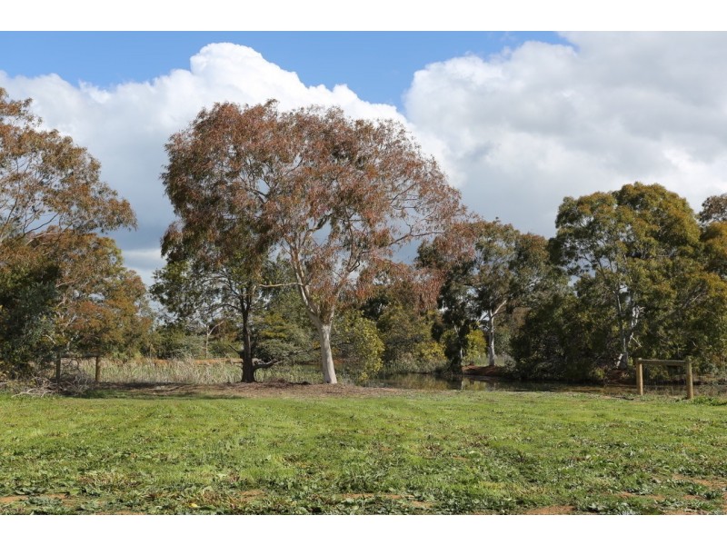 Lot 121 Rivergums Drive, Moama NSW 2731