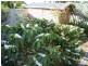 5 Fourth Avenue, Scarborough QLD 4020