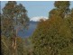 428 Tabletop Road, Bridge Creek VIC 3723