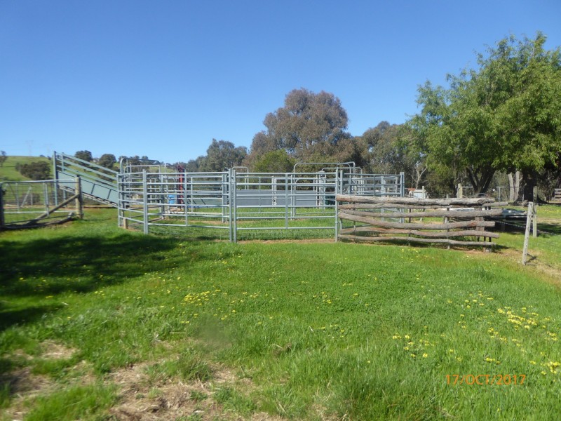 428 Tabletop Road, Bridge Creek VIC 3723