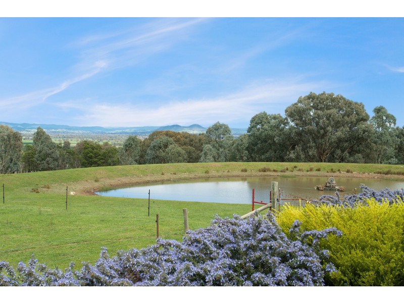428 Tabletop Road, Bridge Creek VIC 3723