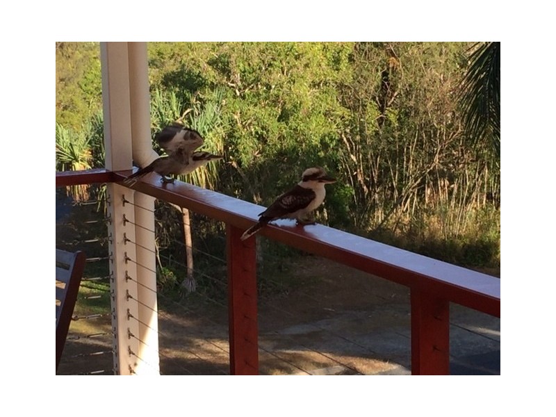 40A Admiral Drive, Dolphin Heads QLD 4740