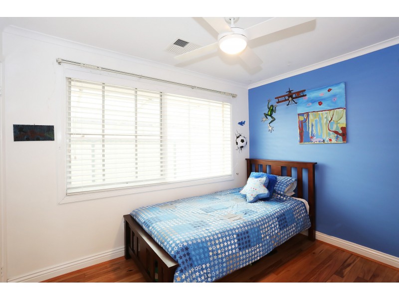 37 Dryberry Avenue, St Clair NSW 2759