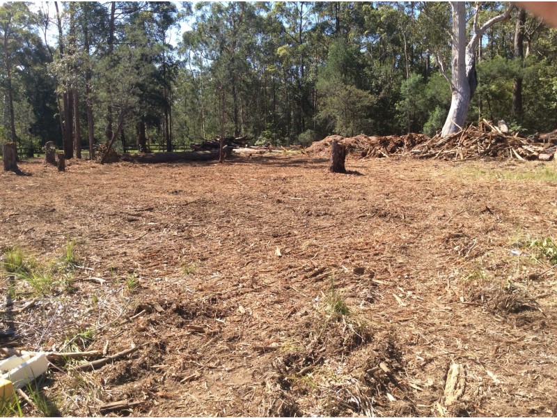 9 Hickory Crescent, Bangalee NSW 2541