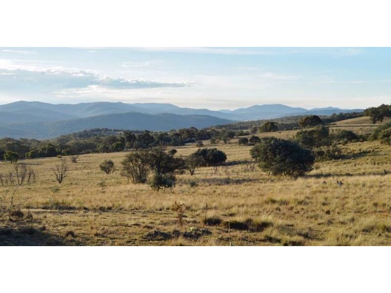 2964 Shannons Flat Road, Shannons Flat NSW 2630