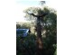 198 Research-Warrandyte road, North Warrandyte VIC 3113