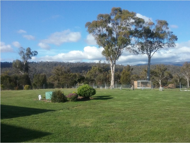 64 White Gum Rise, St Leonards TAS 7250