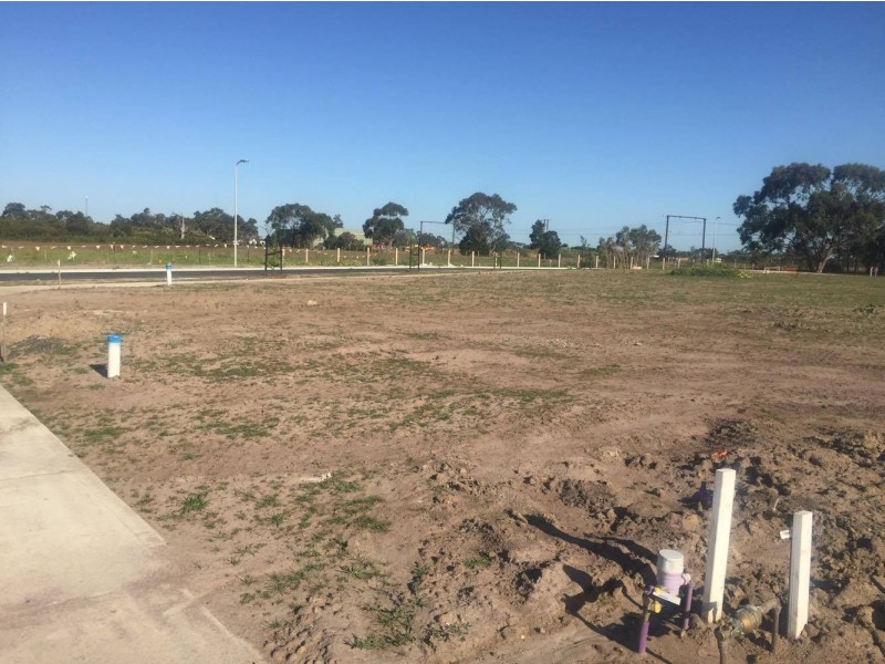 16 Ruben Street, Officer VIC 3809