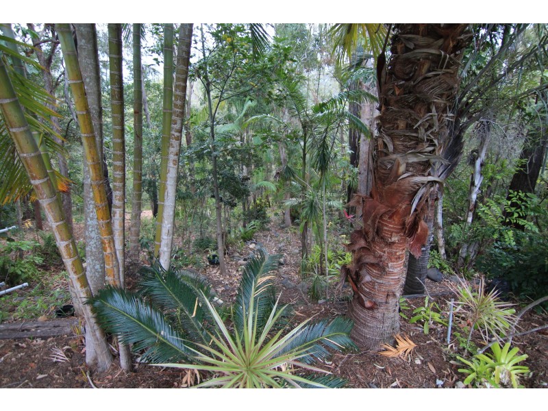 9 Blamey Drive, Tugun QLD 4224