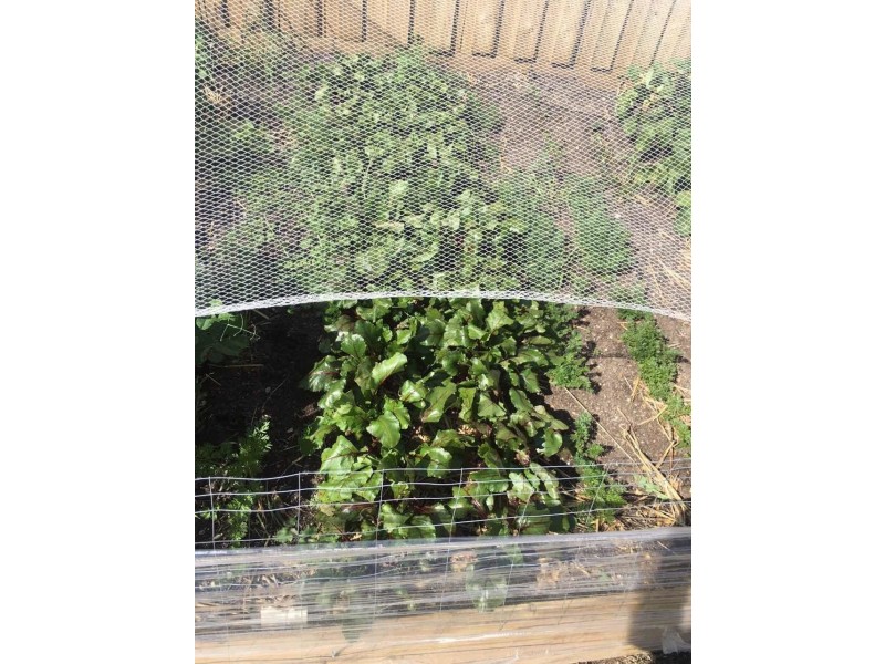 13A Djerriwarrh Court, Kurunjang VIC 3337