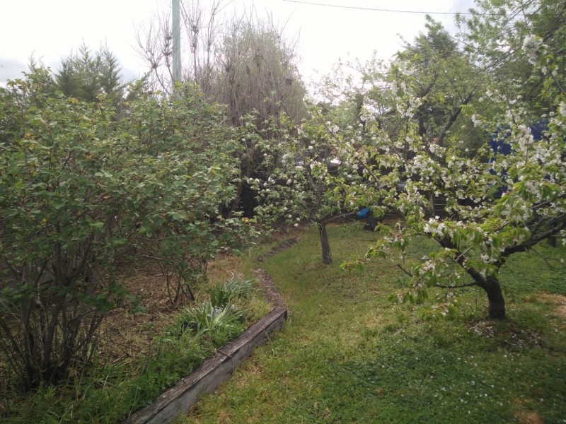 11 River Street, Oaks Estate ACT 2620