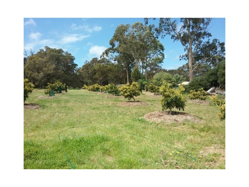 13189 Bussell Highway, Kudardup WA 6290