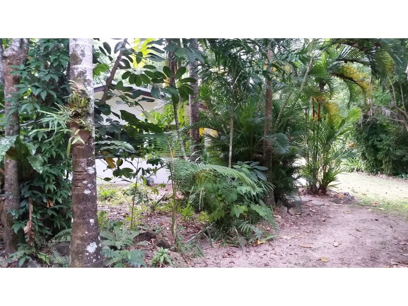 10 Morgano Street, Bingil Bay QLD 4852