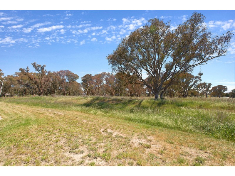 57 David Miller Crescent, Casey ACT 2913