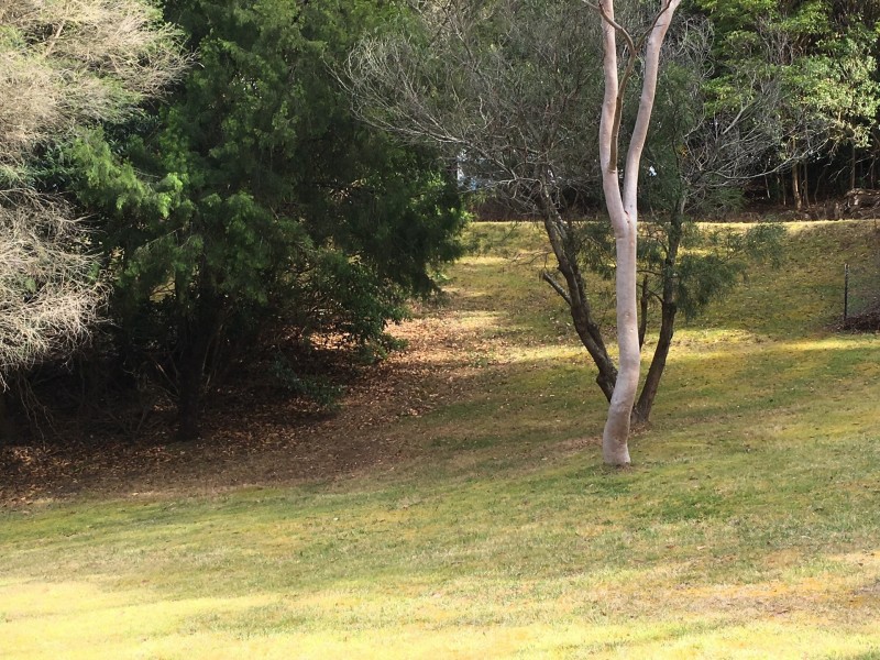 3 (H) 11/04/2018 Wattle Rise, Metung VIC 3904