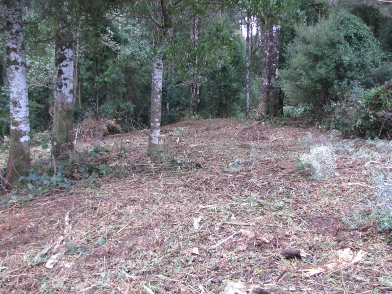 610 Amiets Road, Wyelangta VIC 3237