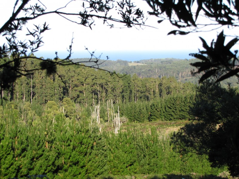 610 Amiets Road, Wyelangta VIC 3237