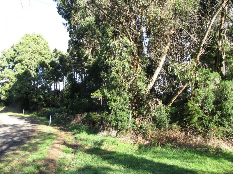 610 Amiets Road, Wyelangta VIC 3237