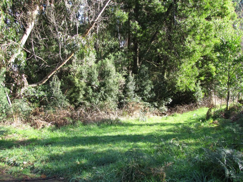 610 Amiets Road, Wyelangta VIC 3237