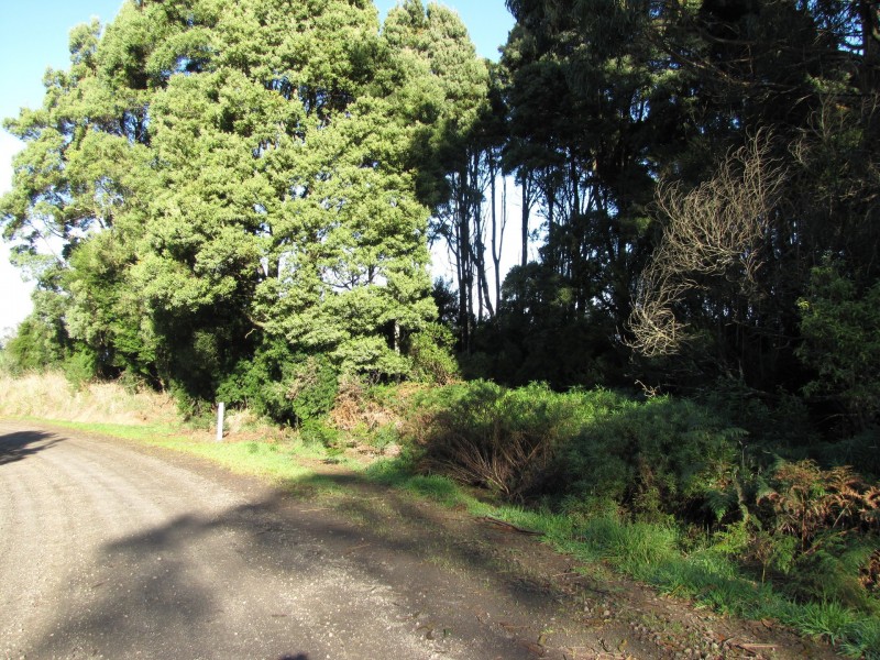 610 Amiets Road, Wyelangta VIC 3237