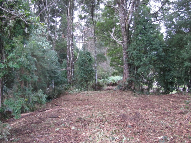 610 Amiets Road, Wyelangta VIC 3237