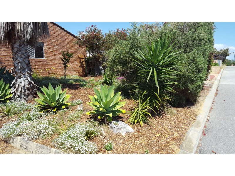 6/33 Tyler Street, Joondanna WA 6060