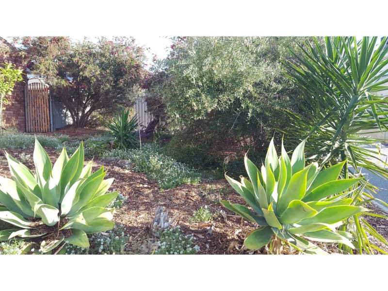 6/33 Tyler Street, Joondanna WA 6060