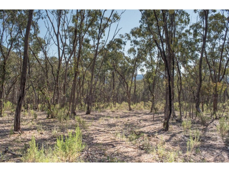 43 Ross Drive, Castlemaine VIC 3450