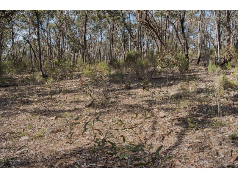 43 Ross Drive, Castlemaine VIC 3450