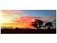 1440 Bannockburn-Shelford Road, Teesdale VIC 3328