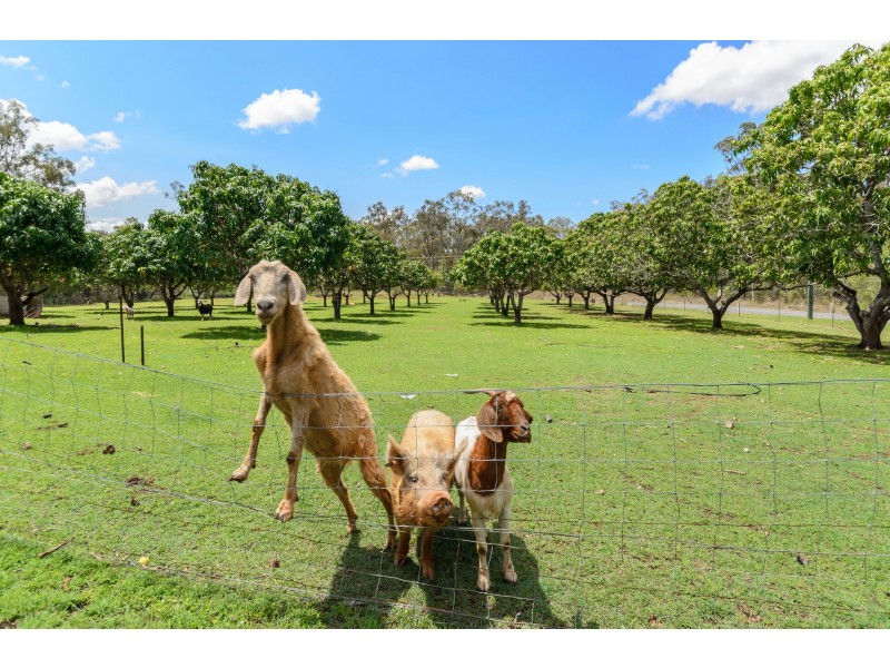 158 Schulze Road, Beecher QLD 4680