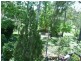 21 Rhys Avenue, The Caves QLD 4702