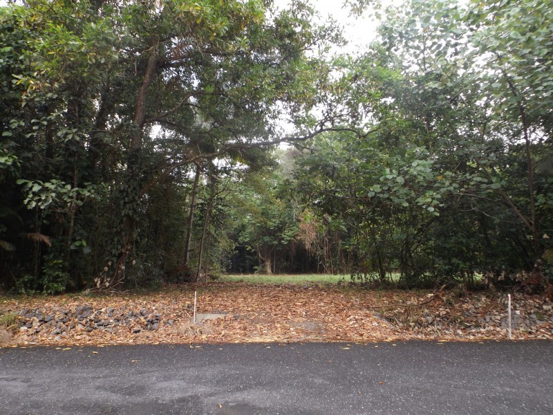 Lot 74 Forest Creek Road, Daintree QLD 4873