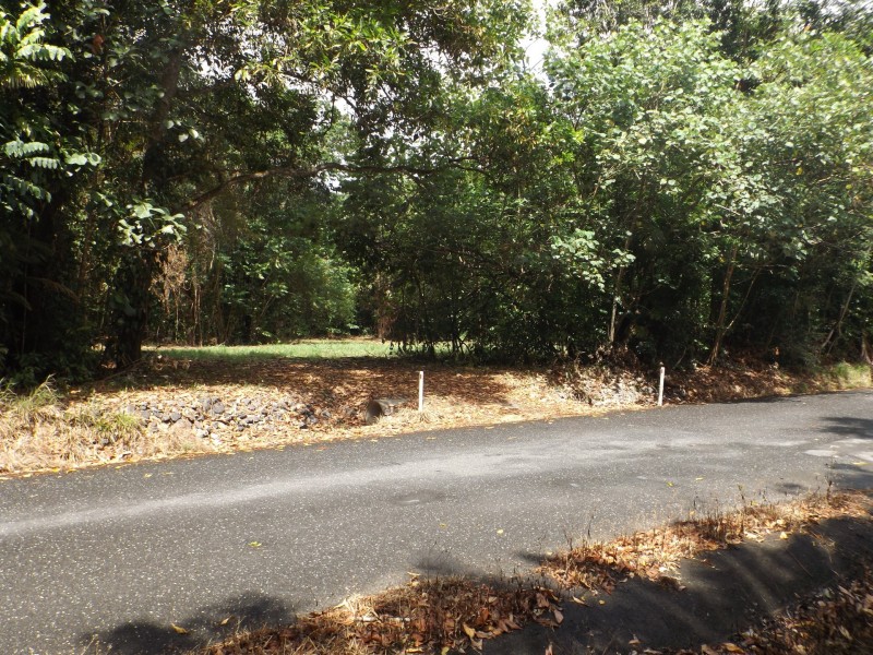 Lot 74 Forest Creek Road, Daintree QLD 4873