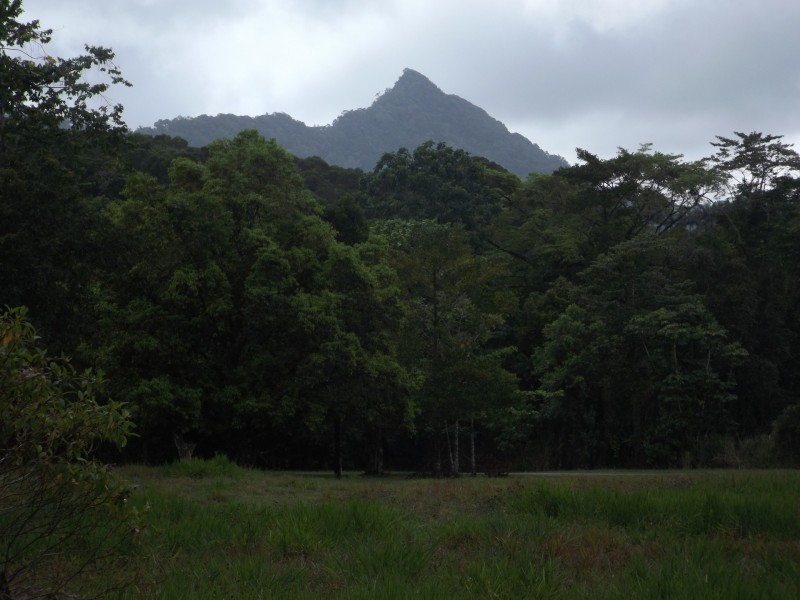 Lot 74 Forest Creek Road, Daintree QLD 4873