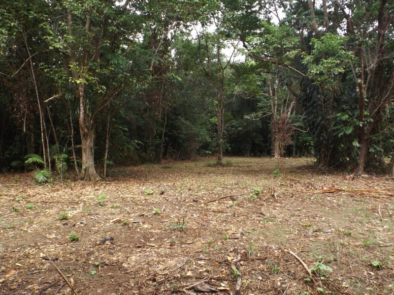 Lot 74 Forest Creek Road, Daintree QLD 4873