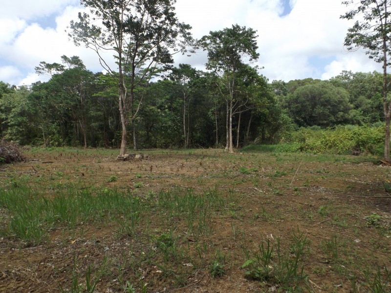 Lot 74 Forest Creek Road, Daintree QLD 4873